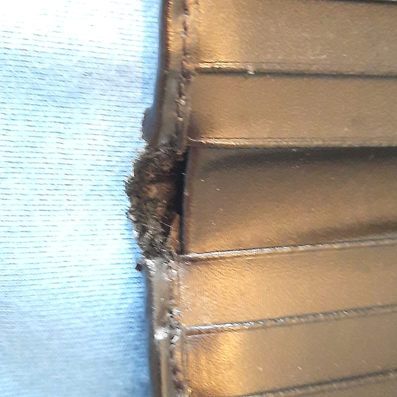 Burberry authentic Nova Check wallet - Picture 11 of 14